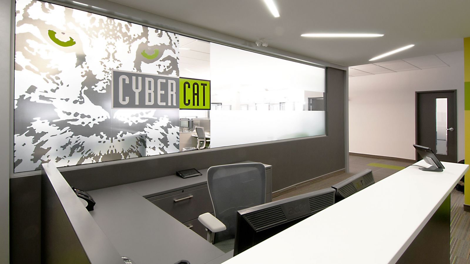 Cybercat 1